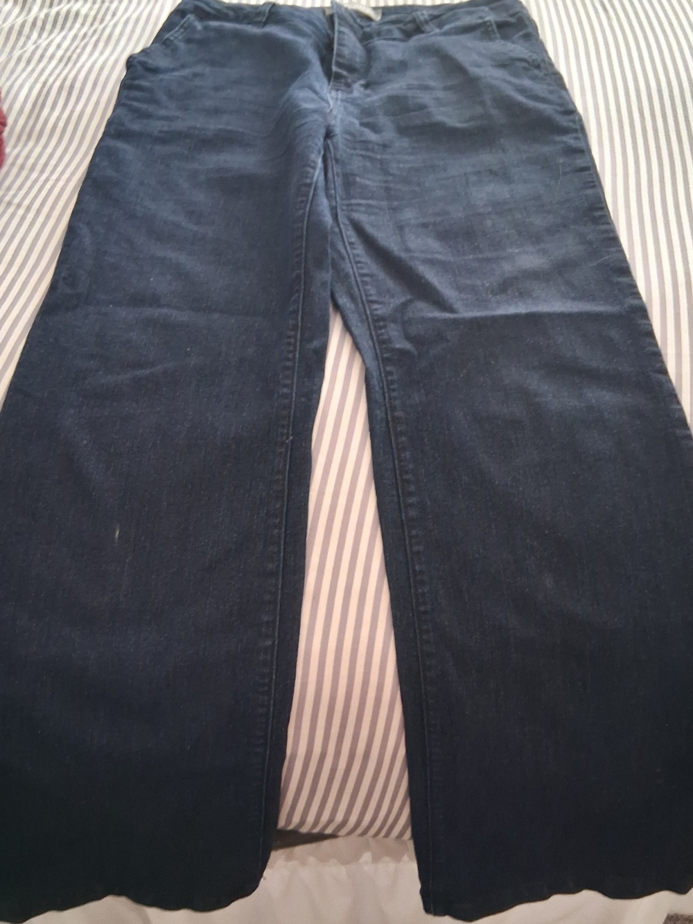 d. jeans Women's Straight Leg Jeans in Dark Blue